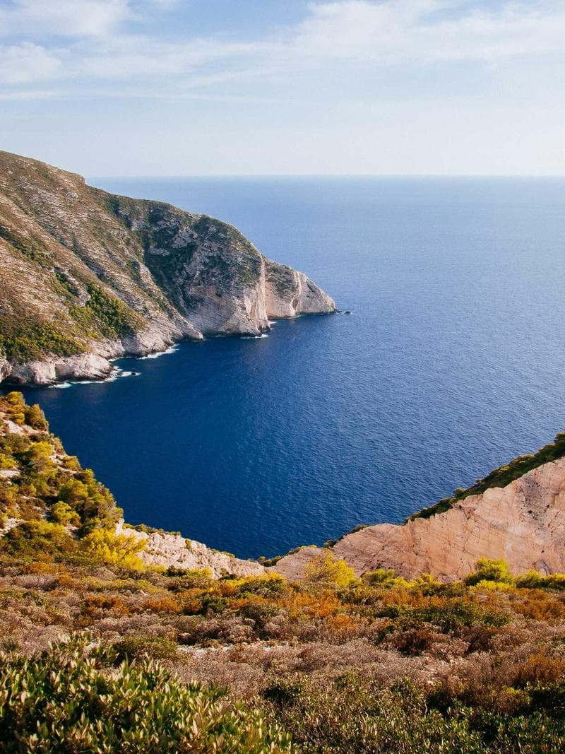 Vista detalle
